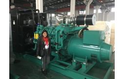 800kw generator approve by South American  customer
