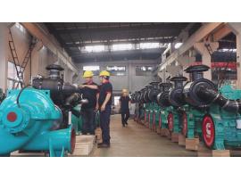 Diesel generator water pump series
